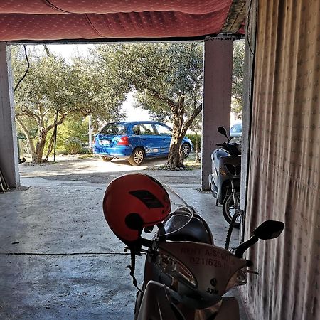 Apartmani Ivica Krzanic Podgora Exterior foto
